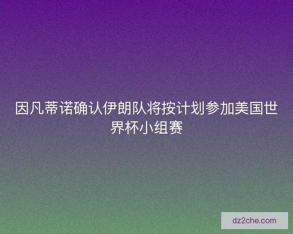 因凡蒂诺确认伊朗队将按计划参加美国世界杯小组赛