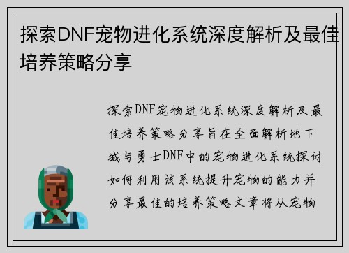 探索DNF宠物进化系统深度解析及最佳培养策略分享